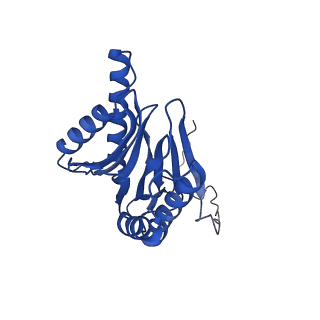 15025_7zyj_i_v1-0
Leishmania tarentolae proteasome 20S subunit in complex with compound 2