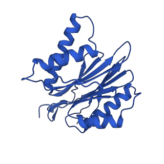 15025_7zyj_j_v1-0
Leishmania tarentolae proteasome 20S subunit in complex with compound 2