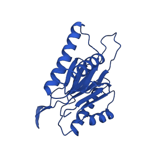 15025_7zyj_k_v1-0
Leishmania tarentolae proteasome 20S subunit in complex with compound 2