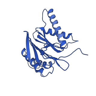 15025_7zyj_m_v1-0
Leishmania tarentolae proteasome 20S subunit in complex with compound 2