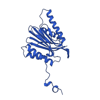 15025_7zyj_n_v1-0
Leishmania tarentolae proteasome 20S subunit in complex with compound 2