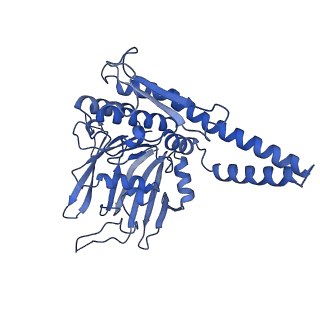 11585_6zz6_A_v1-0
Cryo-EM structure of S.cerevisiae cohesin-Scc2-DNA complex