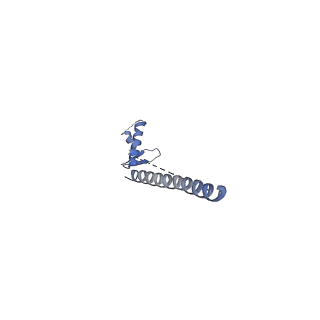 11585_6zz6_C_v1-0
Cryo-EM structure of S.cerevisiae cohesin-Scc2-DNA complex