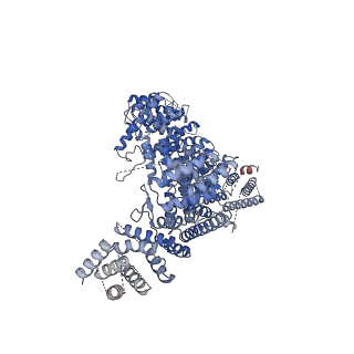 11585_6zz6_D_v1-0
Cryo-EM structure of S.cerevisiae cohesin-Scc2-DNA complex