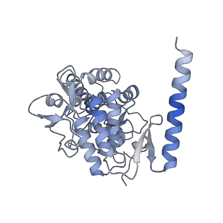 11587_6zzu_A_v1-1
Partial structure of the substrate-free tyrosine hydroxylase (apo-TH).