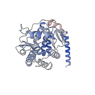 11587_6zzu_B_v1-1
Partial structure of the substrate-free tyrosine hydroxylase (apo-TH).