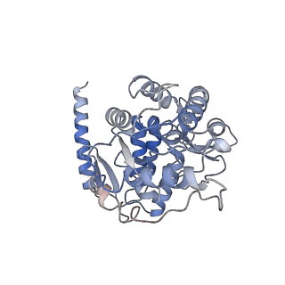 11587_6zzu_C_v1-1
Partial structure of the substrate-free tyrosine hydroxylase (apo-TH).
