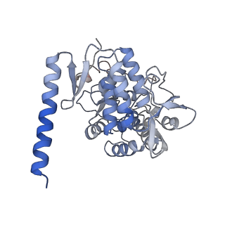 11587_6zzu_D_v1-1
Partial structure of the substrate-free tyrosine hydroxylase (apo-TH).