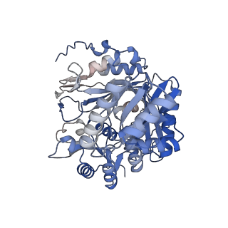 15034_7zz4_A_v1-1
Cryo-EM structure of "BC closed" conformation of Lactococcus lactis pyruvate carboxylase with acetyl-CoA