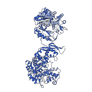 15037_7zz8_B_v1-1
Cryo-EM structure of Lactococcus lactis pyruvate carboxylase with acetyl-CoA and cyclic di-AMP