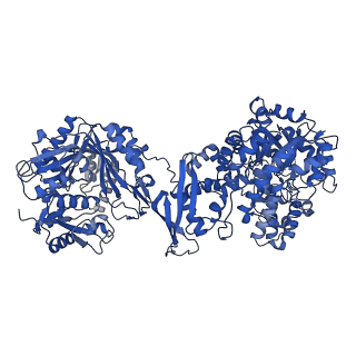 15037_7zz8_D_v1-1
Cryo-EM structure of Lactococcus lactis pyruvate carboxylase with acetyl-CoA and cyclic di-AMP