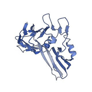 15042_7zzz_B_v1-0
Bacteriophage phiCjT23 capsid