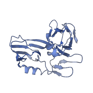 15042_7zzz_C_v1-0
Bacteriophage phiCjT23 capsid