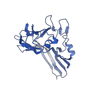 15042_7zzz_E_v1-0
Bacteriophage phiCjT23 capsid