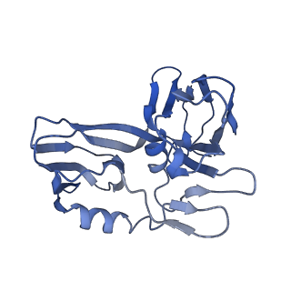 15042_7zzz_F_v1-0
Bacteriophage phiCjT23 capsid