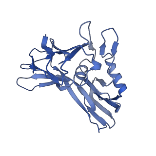15042_7zzz_H_v1-0
Bacteriophage phiCjT23 capsid