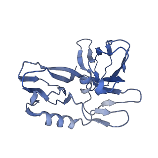15042_7zzz_I_v1-0
Bacteriophage phiCjT23 capsid