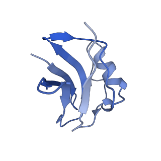 15042_7zzz_P_v1-0
Bacteriophage phiCjT23 capsid
